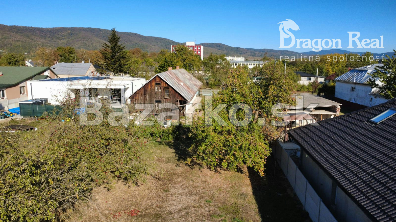 Fotografia 7