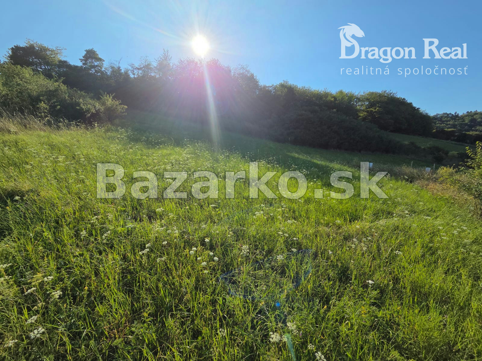 Fotografia 6
